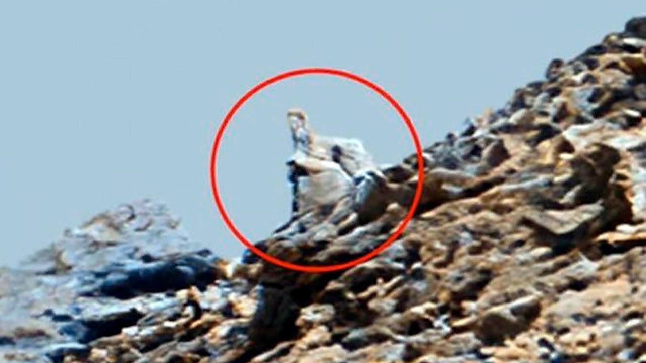 Вся правда о марсе