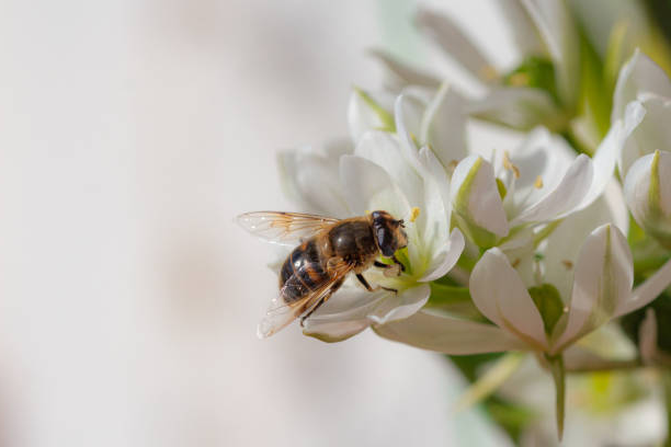 Полезный народный календарь на август 2023 года.