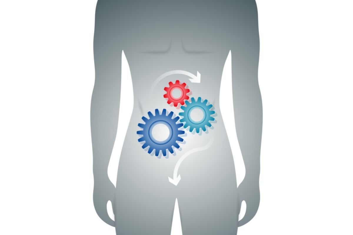 Как вода может повысить вашу иммунную систему?