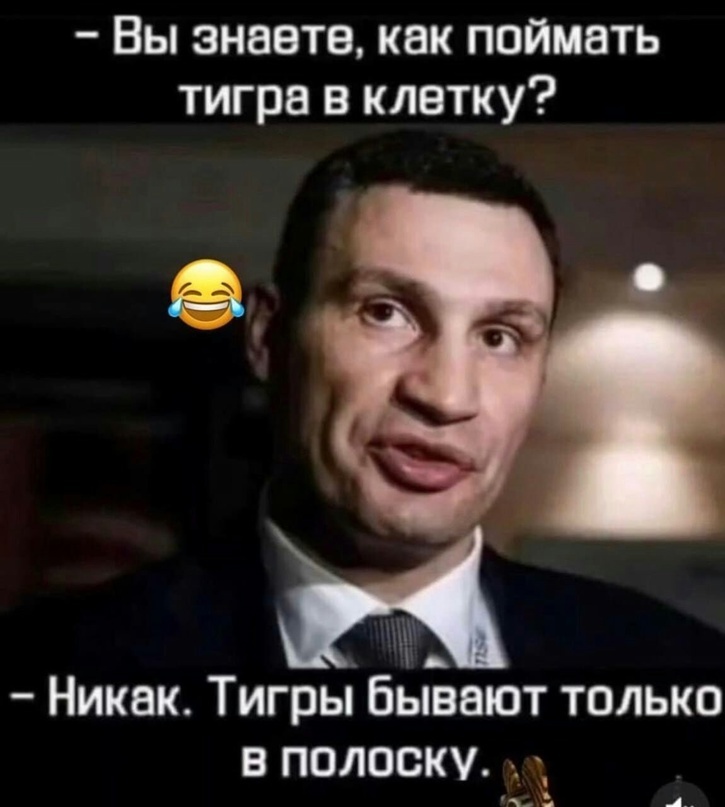 Тигры в клетку интересно?