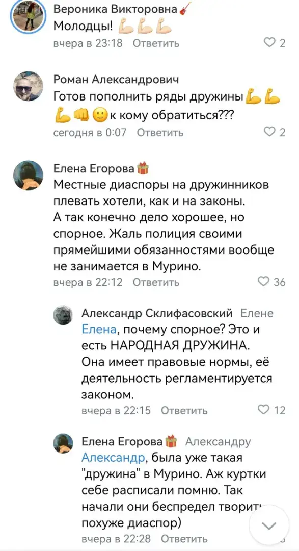 Реальный пример действия гражданского общества – народные дружины