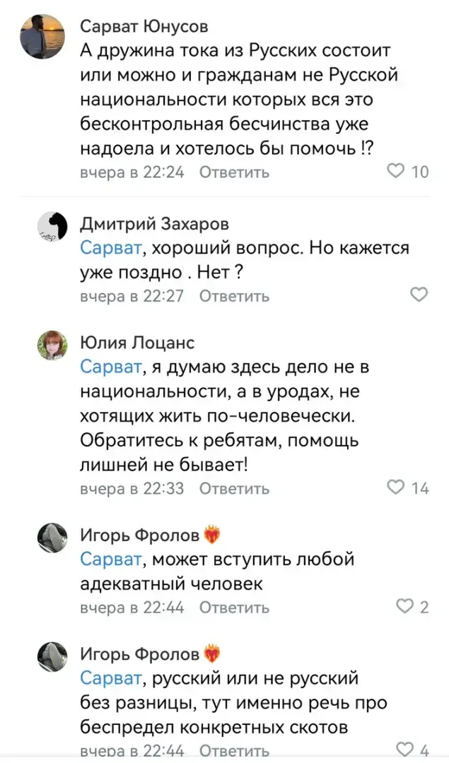 Реальный пример действия гражданского общества – народные дружины