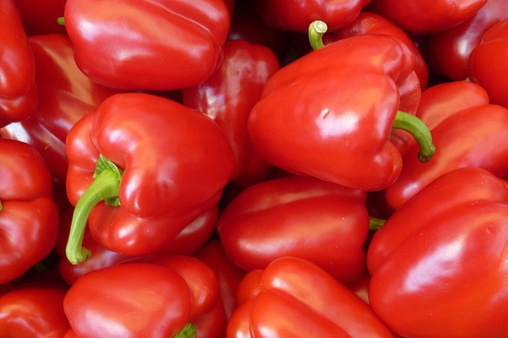 Чем побаловать свои почки: профилактика здоровья почек и 7 продуктов, которые стоило бы добавить в свой рацион питания