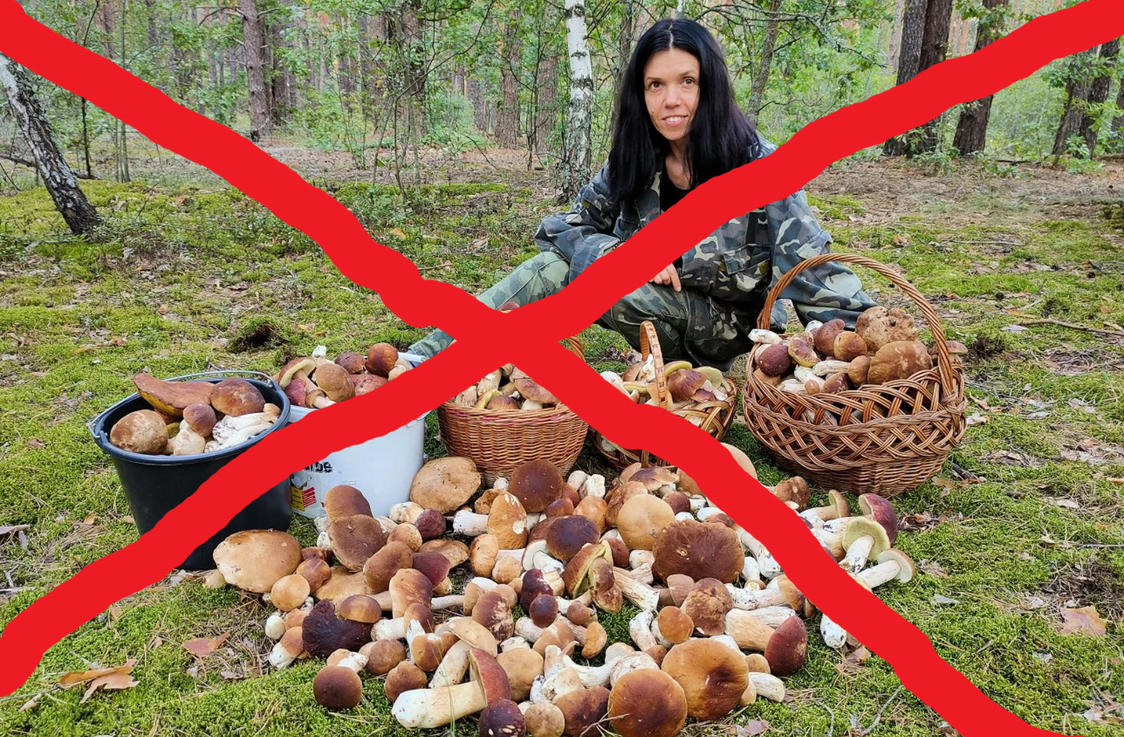 Страшно аж жуть там в алтайских лесах