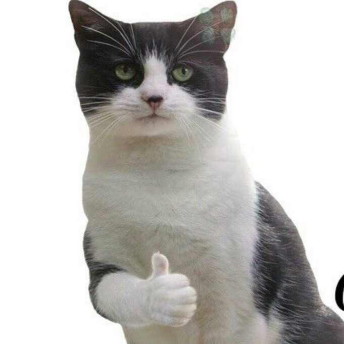 Судоку: все играют, но мало кто знает, что это слово означает или что игра не из Японии.