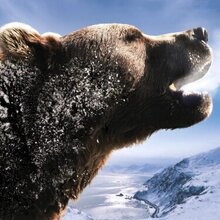 Алексей Дыньков, г. Челябинск