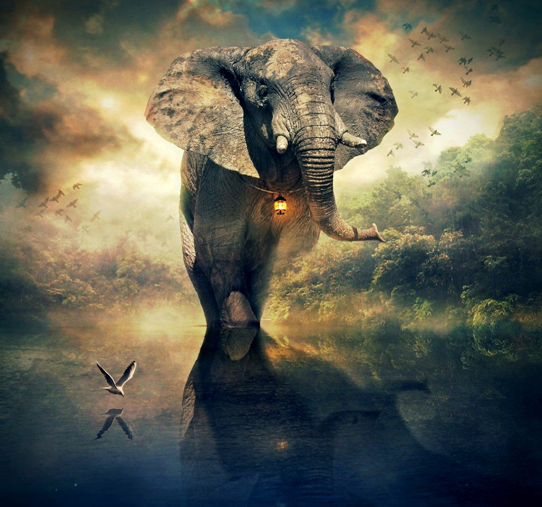 Эйвон, Страж Великого Леса