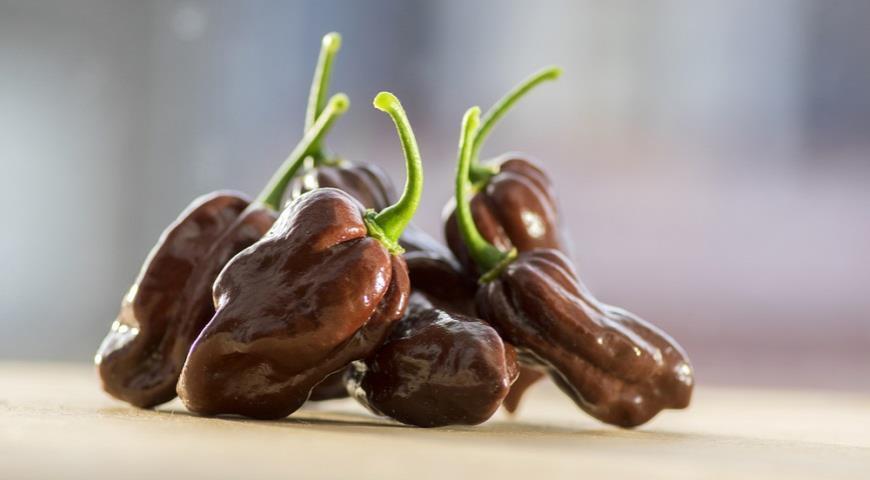 Редкие продукты, которые мало кто пробовал