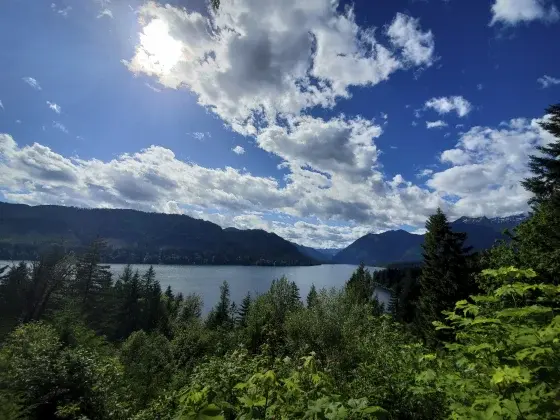 8-летний мальчик пережил нападение пумы в национальном парке штата Вашингтон.