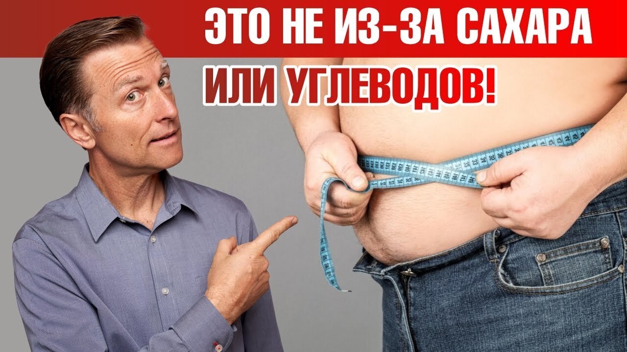 Не можете избавиться от жира на животе? Есть главная причина