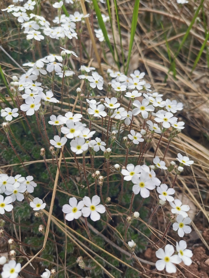 Как вы делаете себя счастливым?
