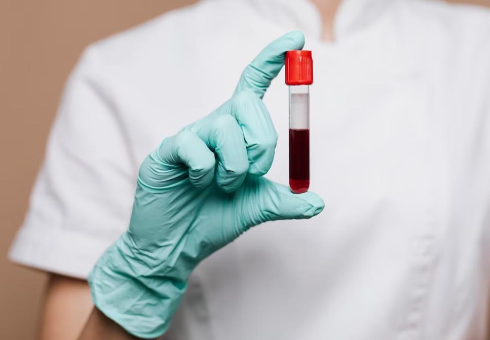 В Госдуме предложили освобождать студентов от занятий после сдачи крови