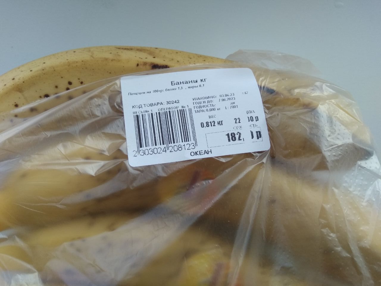 Моя поездка в Норильск