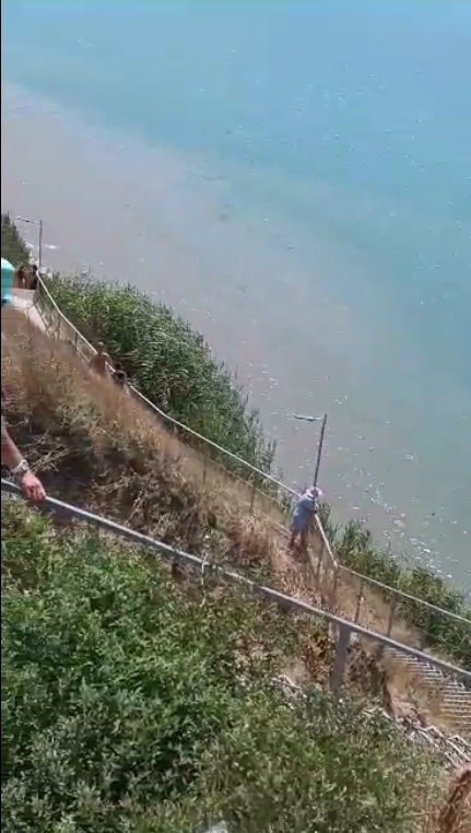 Где классно отдохнуть на Черном море