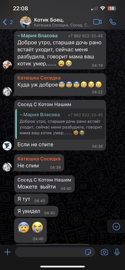 Необыкновенный кот Боец