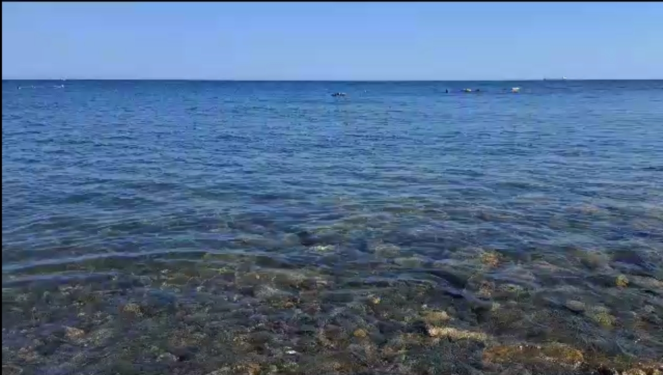 Где классно отдохнуть на Черном море