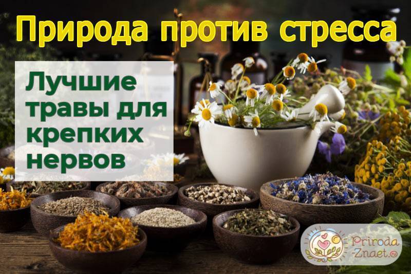 Что такое депрессия ее симптомы с научной и общей точки зрения и как ее лечить?