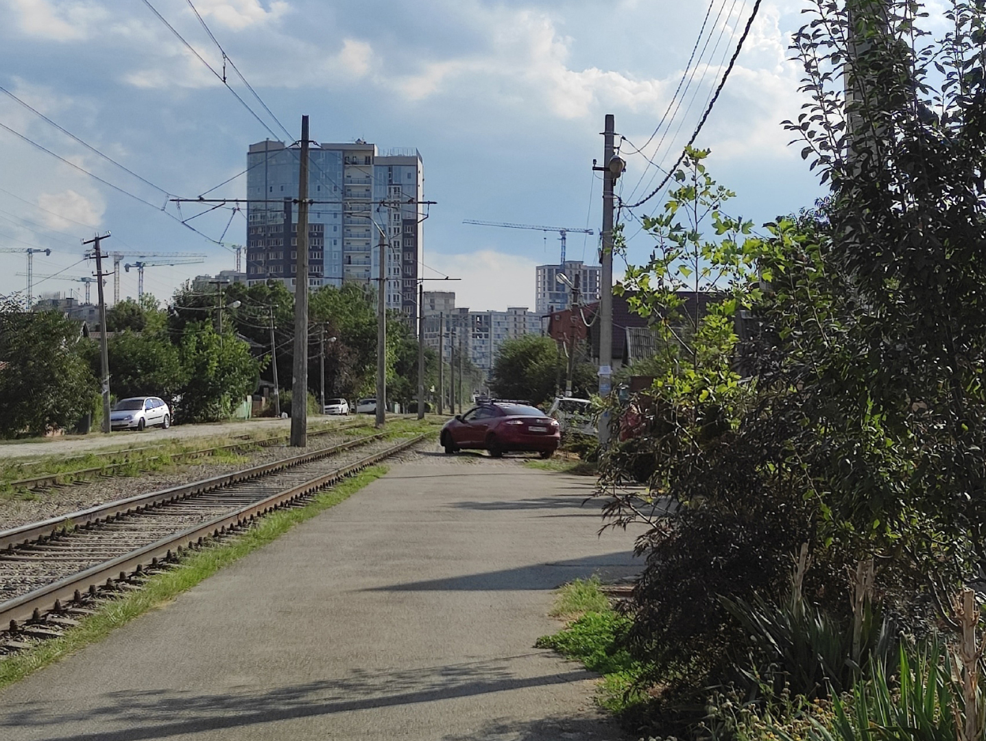 Шёл с работы и увидел такое, от чего шерсть на пoпe встала дыбом