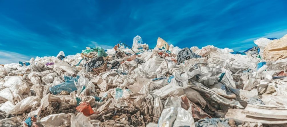 Опять грядёт мусорная реформа – готовьте весы, россияне