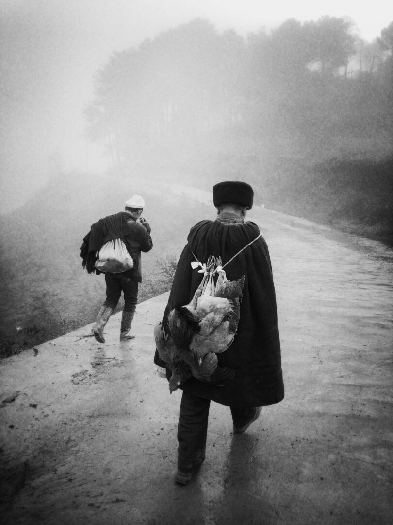 Лучшее из 16-й ежегодной премии iPhone Photography Awards