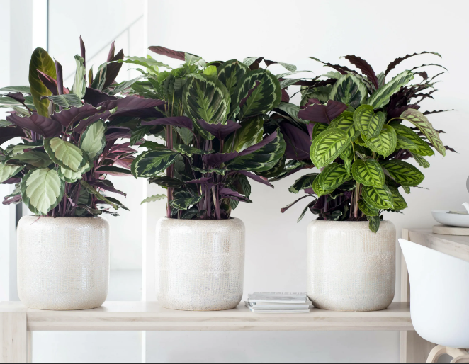 38 бесплатных или дешевых способов расслабиться и уменьшить стресс