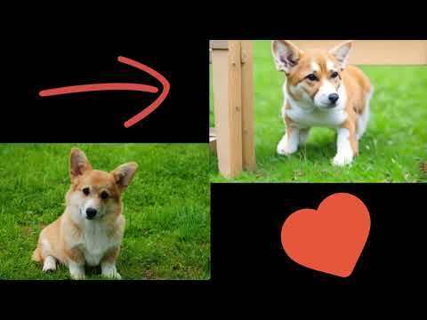 Нейросеть оживляет фото корги