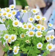 Елена, г. Таганрог