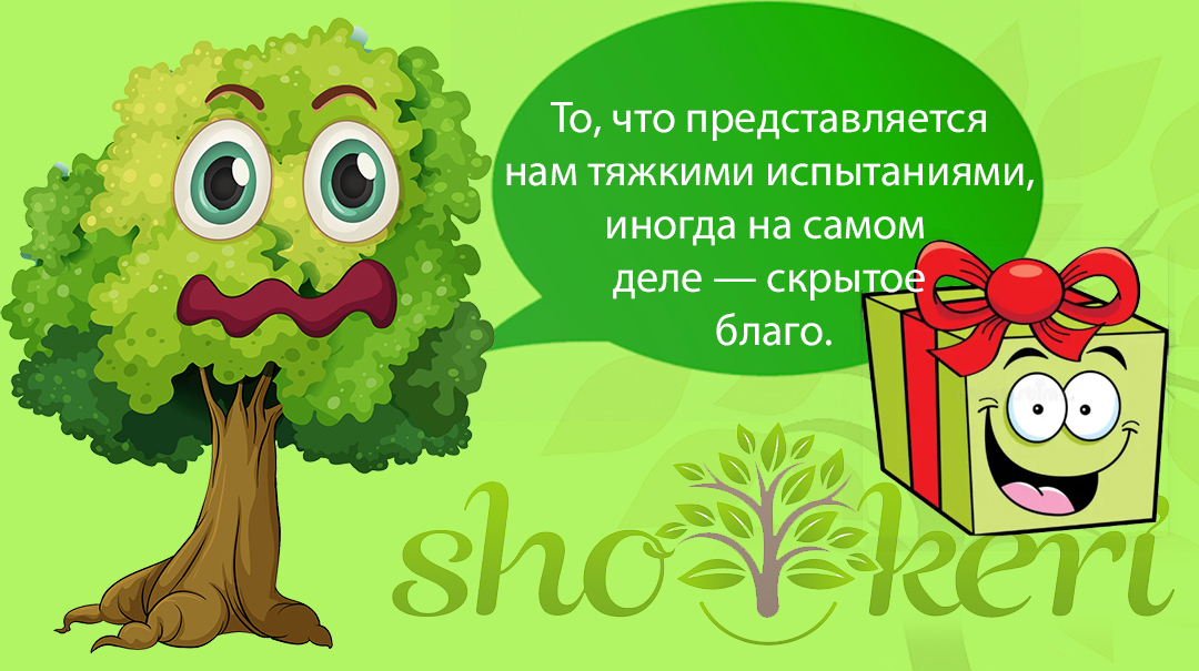 🌱10 мифов о бюджете, в которые мы можем попасться🌱