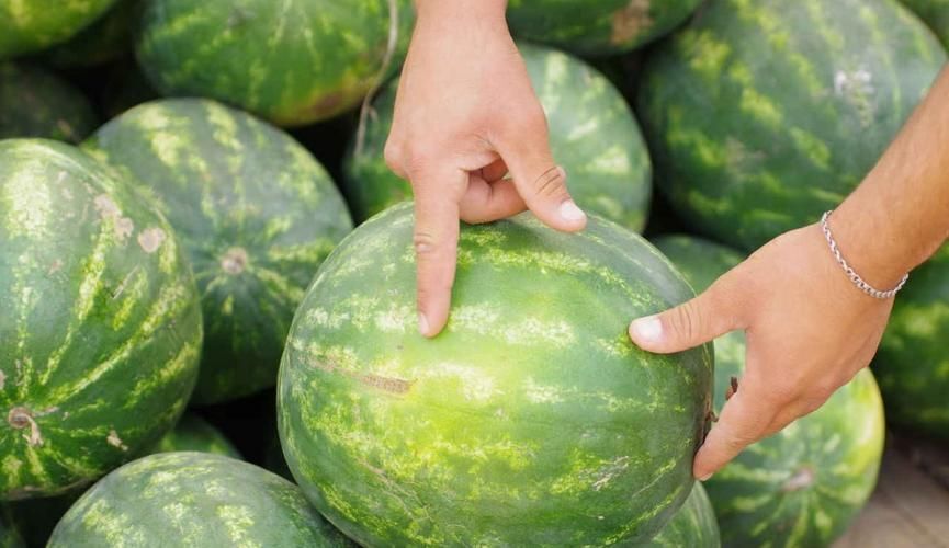 Секреты выбора сочного арбуза