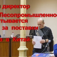 лес   гендиректора.jpg