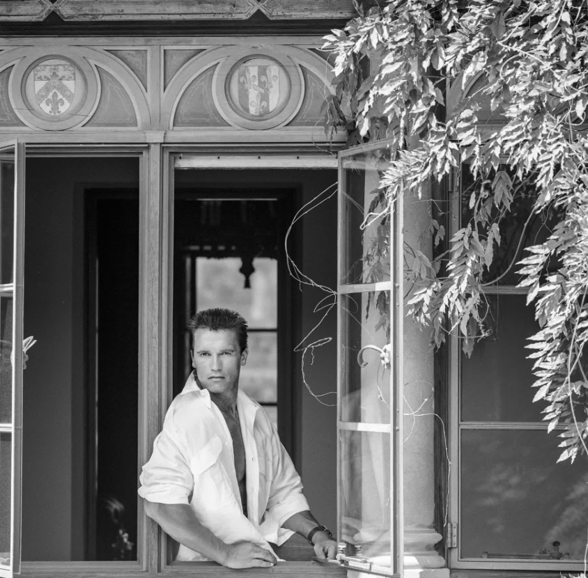 Арнольд - это нечто, исключительное, что еще не попадалось вам на глаза всё эти годы.