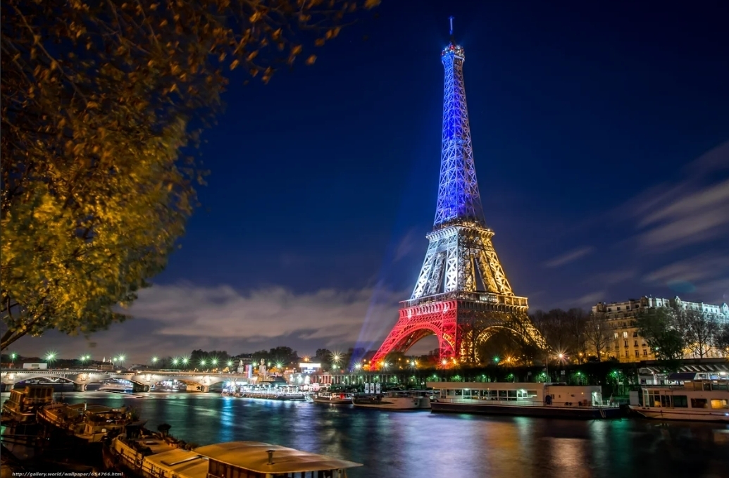 "Наполеон и Меровинги: Великая Эпоха Франции"