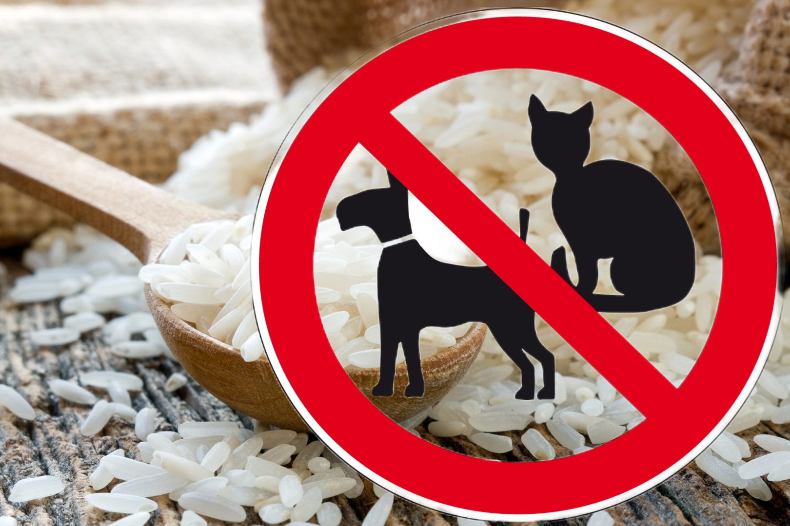 Что запретили в России за последние две недели