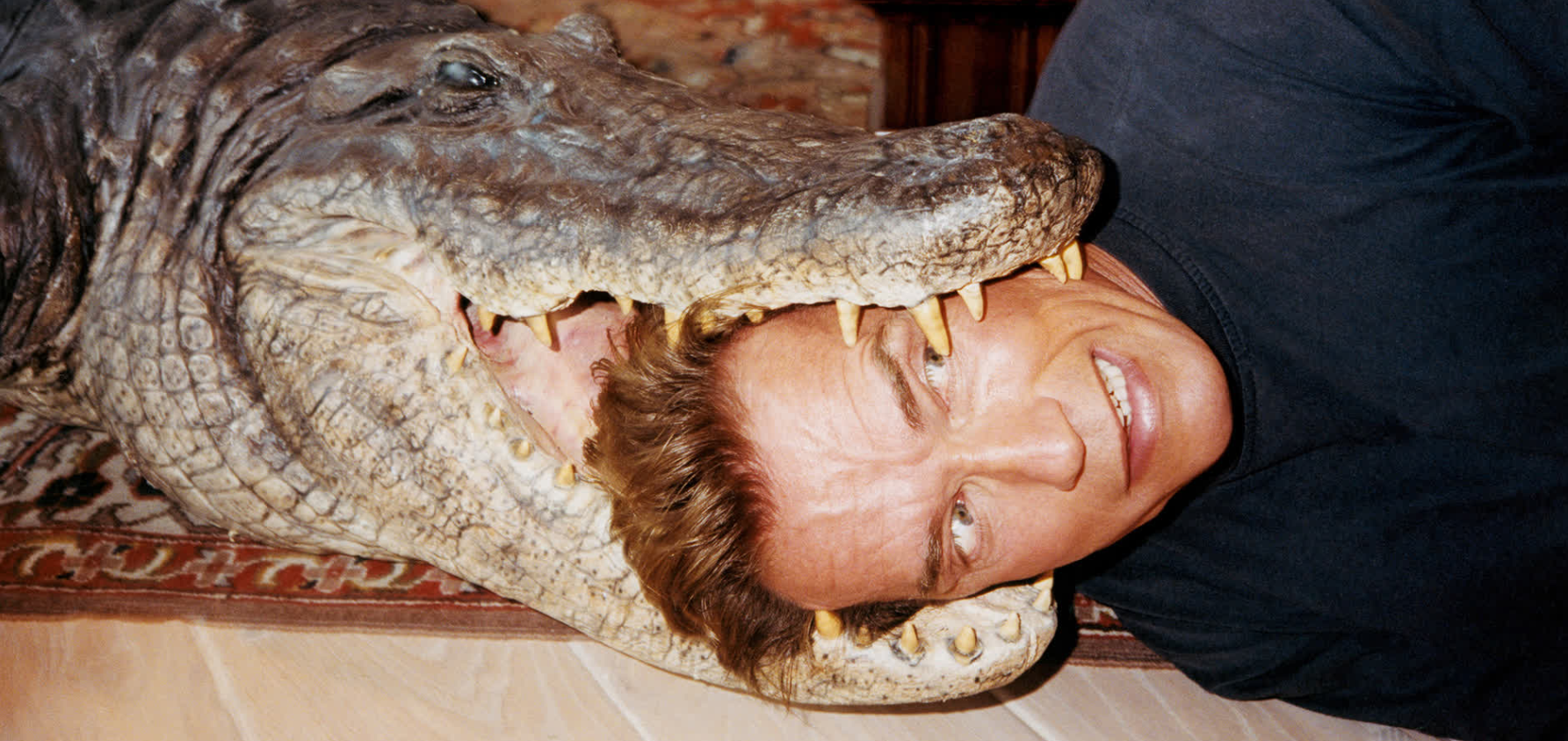 Арнольд - это нечто, исключительное, что еще не попадалось вам на глаза всё эти годы.