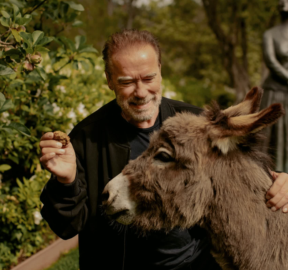 Арнольд - это нечто, исключительное, что еще не попадалось вам на глаза всё эти годы.