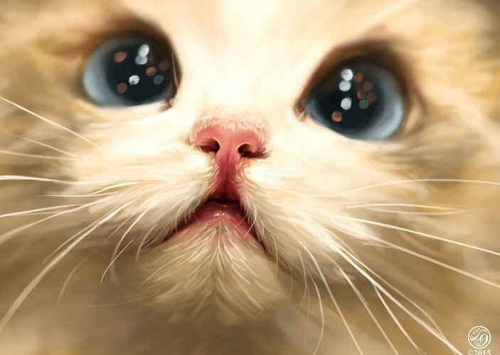 "Легендарные кошки: Почему они завоевали наши сердца и влияют на нас"