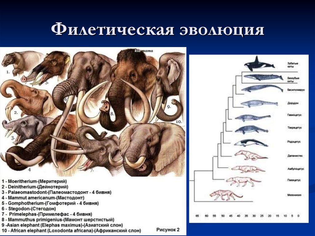 Определите какой рисунок иллюстрирует: найдено 84 картинок