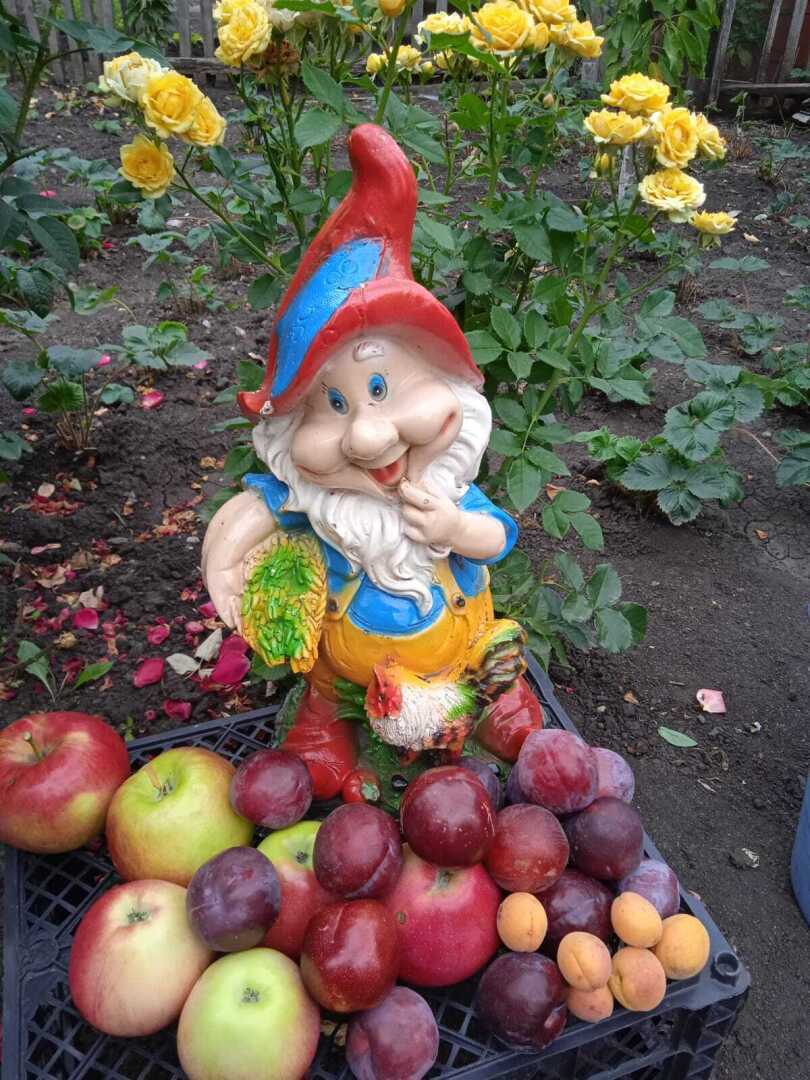 Люблю свою дачу: за богатый урожай и денежные гонорары