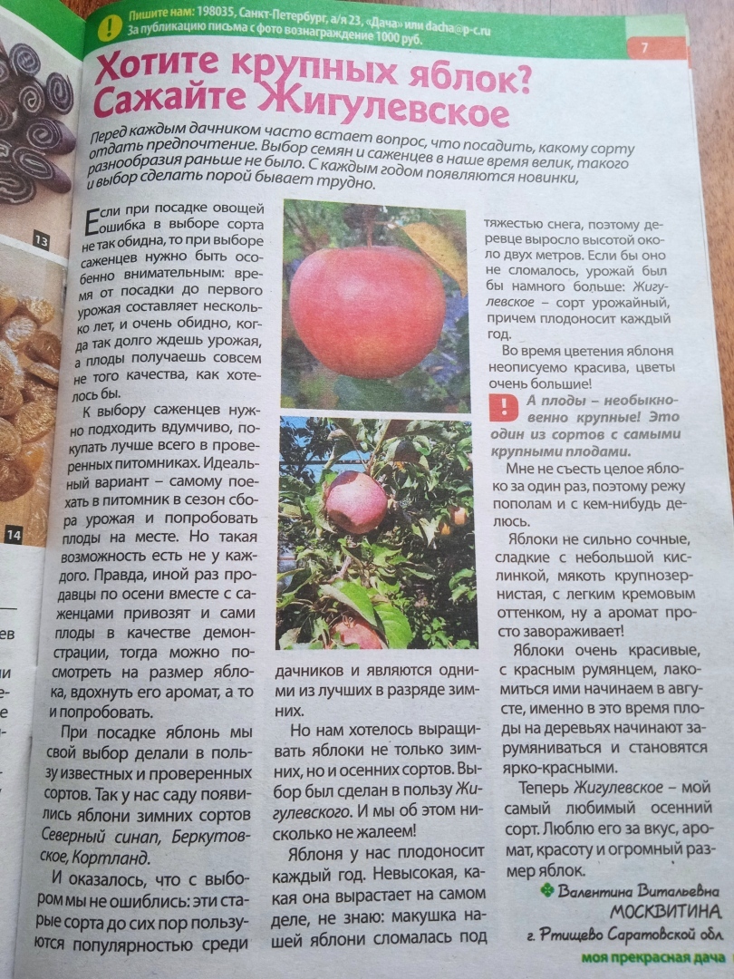 Люблю свою дачу: за богатый урожай и денежные гонорары