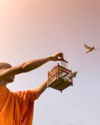 Рождение - начало и конец