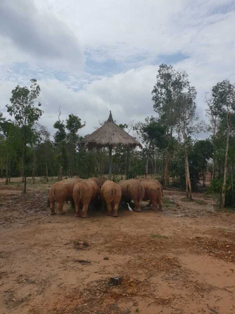 Почему я выбираю отдых за границей? Прочитав статью и просмотрев фото – сами все поймете. Вьетнам, я влюбилась с первого раза!