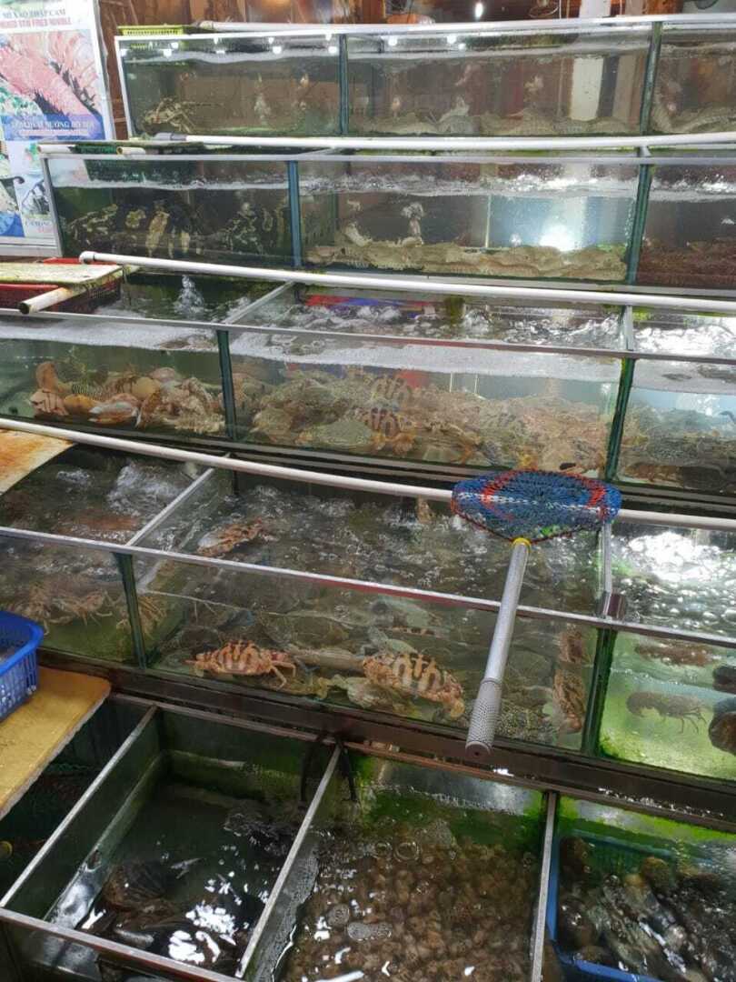 Почему я выбираю отдых за границей? Прочитав статью и просмотрев фото – сами все поймете. Вьетнам, я влюбилась с первого раза!