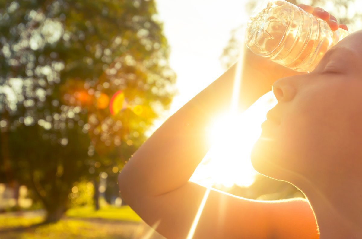 Тепло сжигает разум, а не только тело!