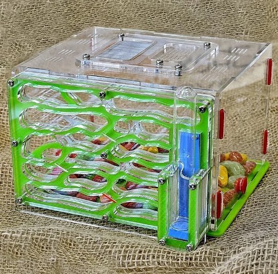 "Формикарий - увлекательный мир муравьев прямо у вас дома"