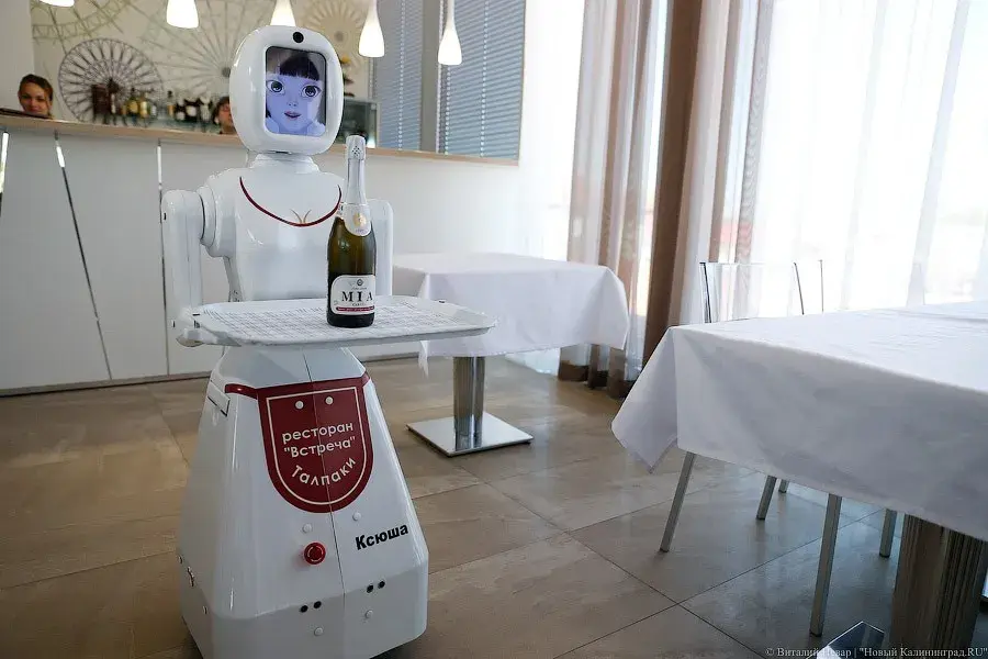 Нейросети, роботы – обслуга, чат боты – угроза массовой безработицы