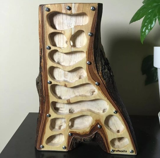 "Формикарий - увлекательный мир муравьев прямо у вас дома"