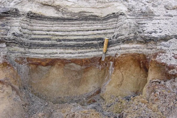 Некогда пышная Арктика