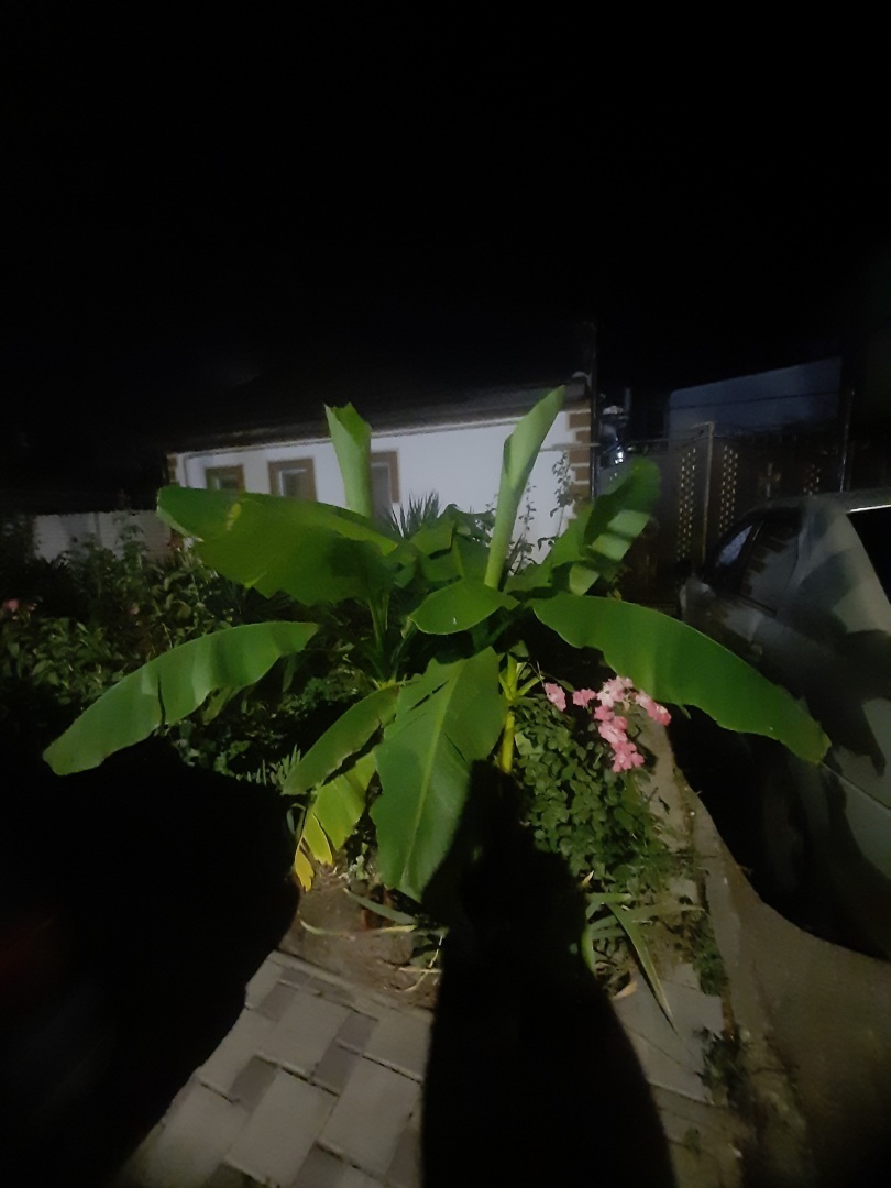 Лето 2024, отпуск в станице Голубицкая и Анапе.