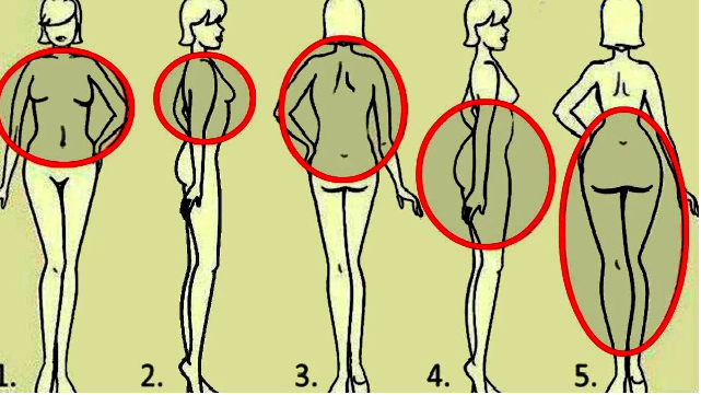 5 законов похудения: вот как похудеть в каждой части тела.