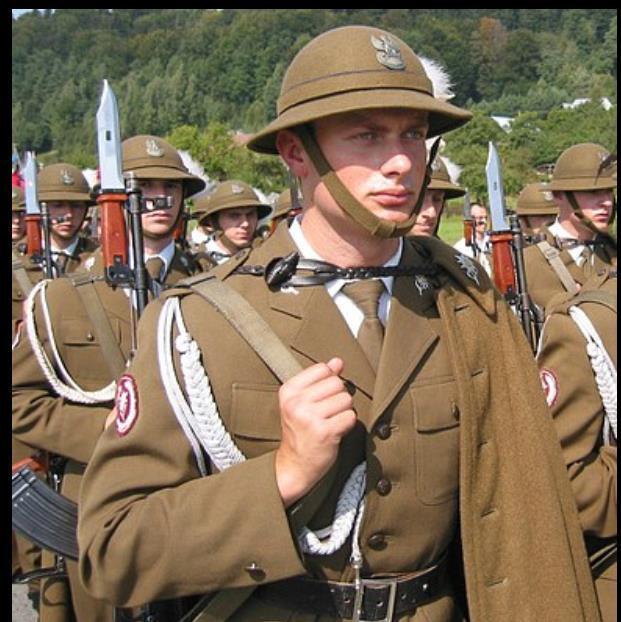 Франция: «Переброска войск Польши приведет к мировой войне»